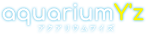 aquariumY’z | 高知県　大型熱帯魚　プラチナ　アルビノ　特殊個体　販売　海水魚　アクアリウム